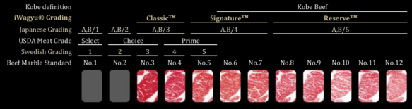 S_120_31_grading